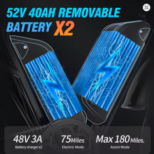 Ridstar Q20 Electric Bike 2000W Dual Motor