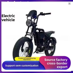 Lithiumbatterij, elektrische mountainbike