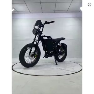 Litijumska baterija, Električno vozilo za cestovne i planinske vožnje