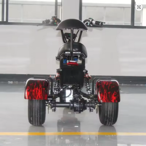 Shaft Drive Three-wheeled Electric Vehicle Lithium Battery 1000W