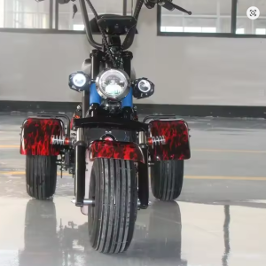 Shaft Drive Three-wheeled Electric Vehicle Lithium Battery 1000W