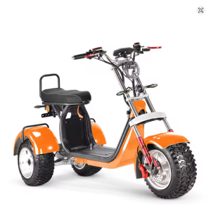 4000W 20Ah Lithium-Akku, EEC 10-Zoll-Fatbike-Elektrodreirad