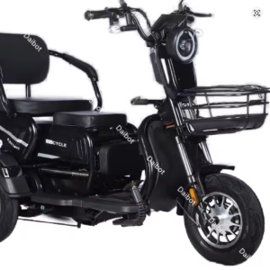 Adult Electric Tricycle 48V 600W 3 Wheel Electric Scooter For Adults