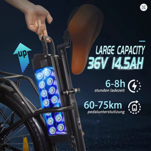 TTGO YY-26ST E-Bike für Erwachsene: 250-W-Motor, 36-V-14,5-Ah-Lithium-Akku, 26-Zoll-Reifen
