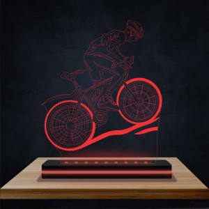 Racing bike